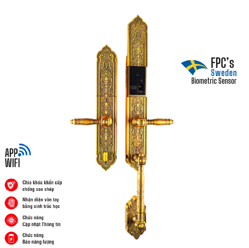 Fs009 Ac-01
