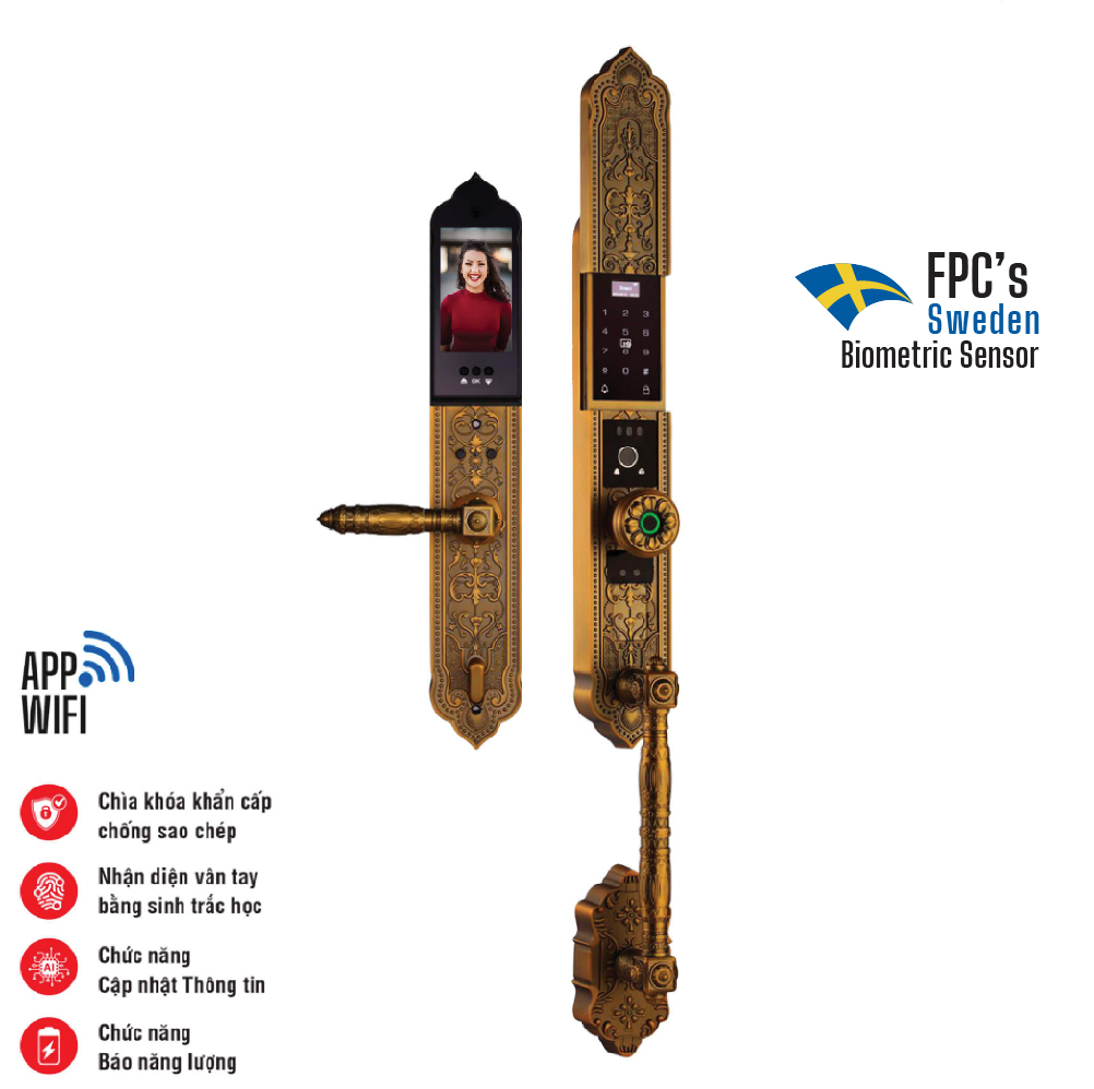 Fs009gb brass-01