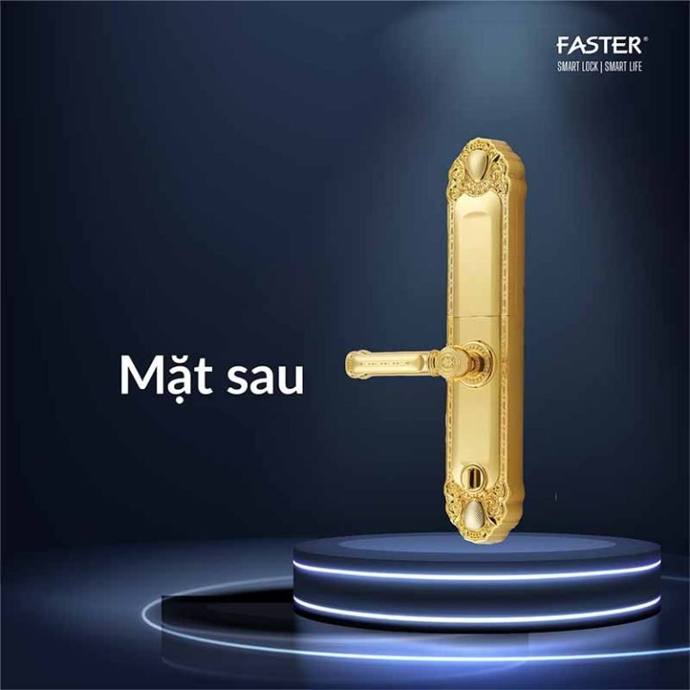 Khóa cửa đại sảnh FS039-1 24K