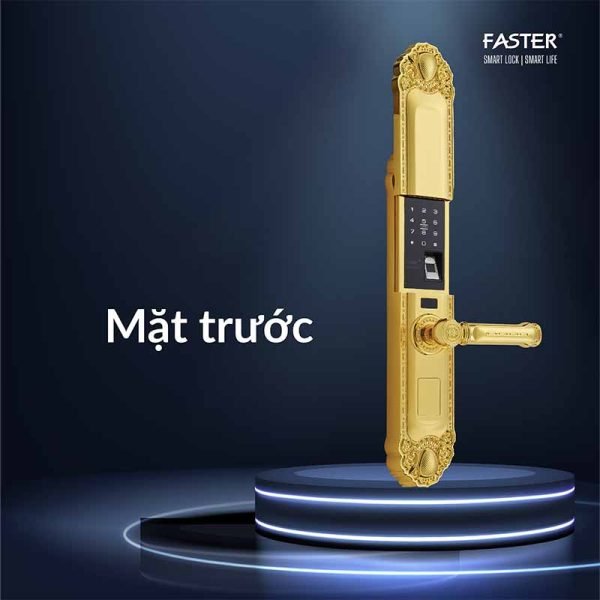 Khóa cửa đại sảnh FS039-1 24K