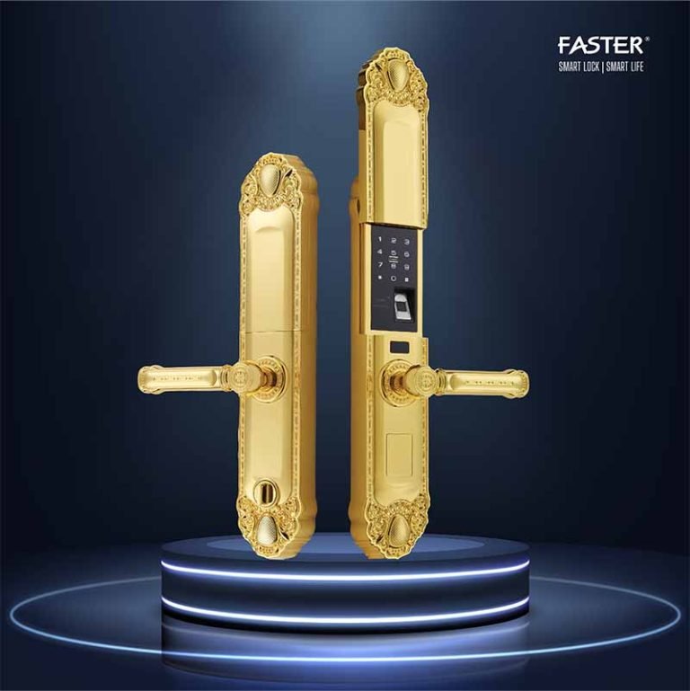 Khóa cửa đại sảnh FS039-1 24K