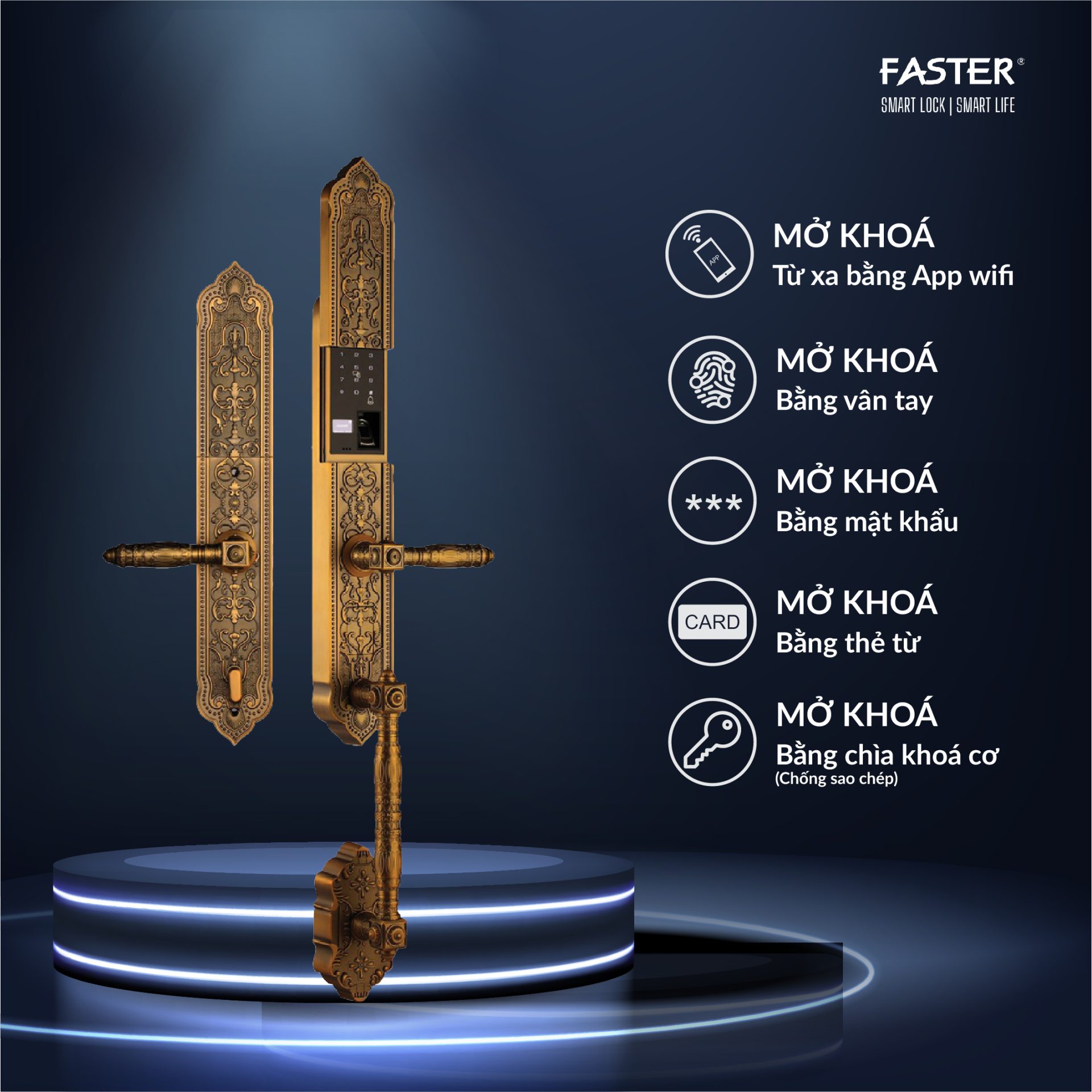 Khóa cửa đại sảnh FS009 AC