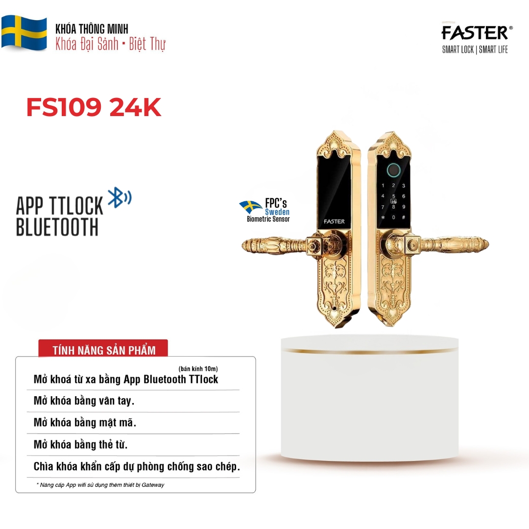 Khóa cửa đại sảnh thông phòng FS109 24K
