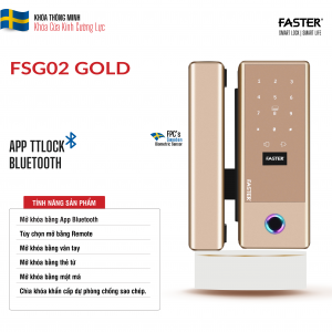 Khóa thông minh cửa kính FSG02 GOLD