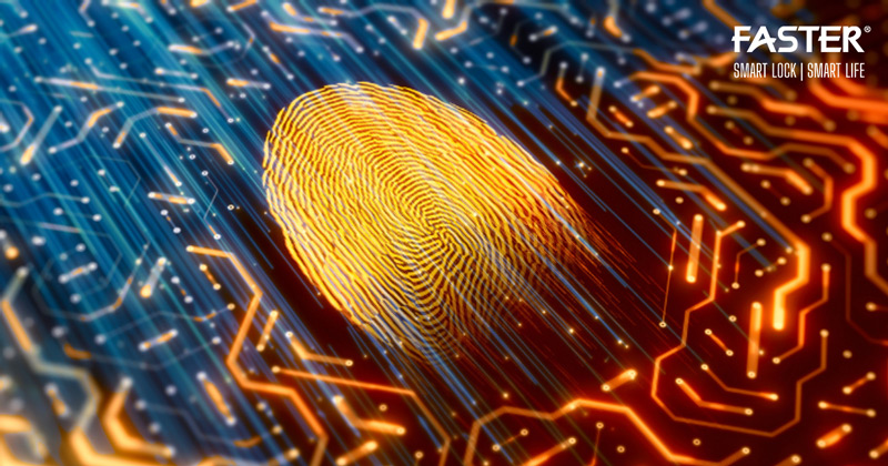 khóa vân tay FPC có cảm biến nhiệt